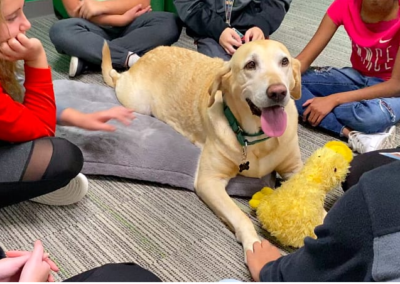 Dogs in the Classroom Improve SEL, Cognitive, and Even Reading Skills