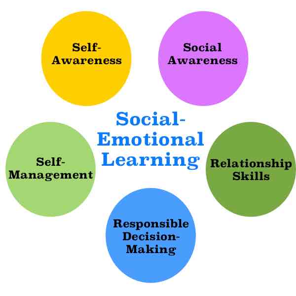 Empathy Unleashed: Nurturing Social Emotional Learning for Growth